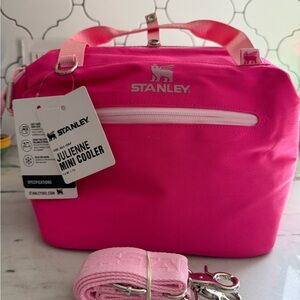 Stanley inspired Pink Mini Cooler